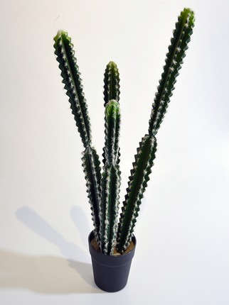 Dekoratif Çiçek - Kaktüs 76 cm